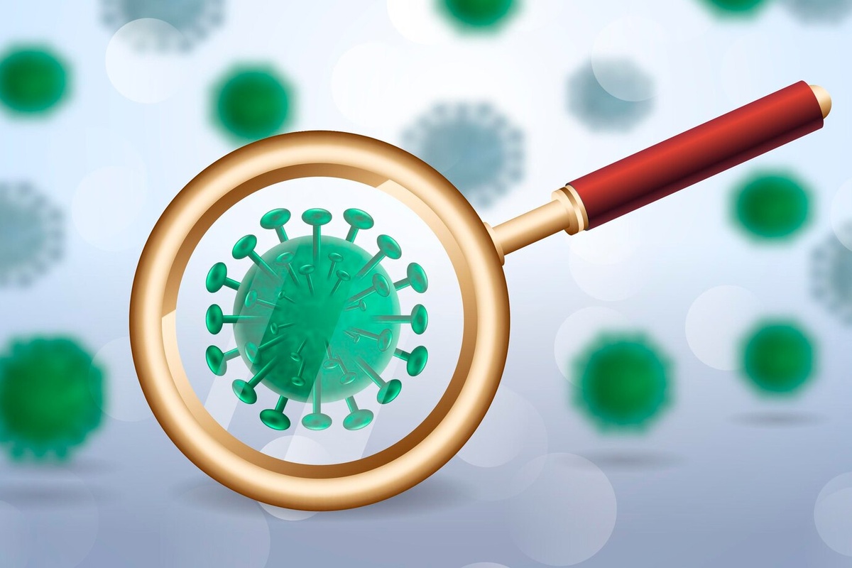    Эпидемиологическая ситуация в Курской области благоприятная