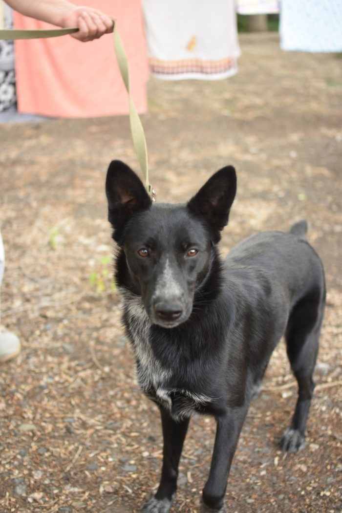  📷 📷 📷 📷 📷