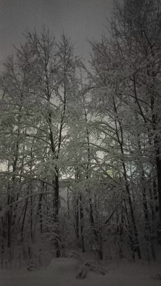 Красота снежная 😊