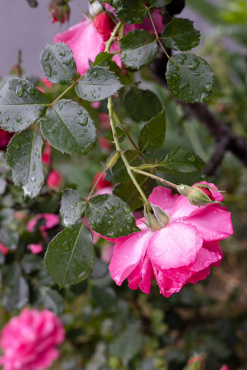 Вот такой был у меня референс. 