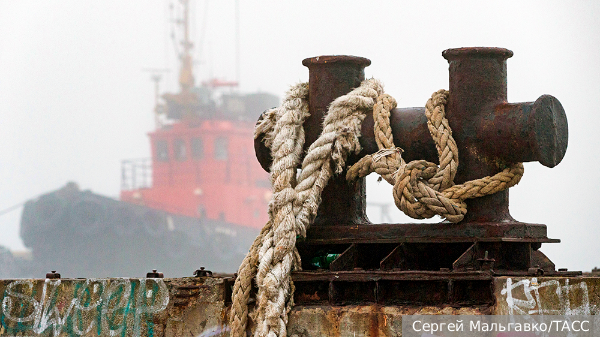     Фото: Сергей Мальгавко/ТАСС   
 Текст: Мария Иванова