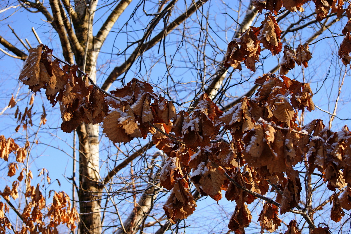 автор фото канала - В гостях уМАРИИ