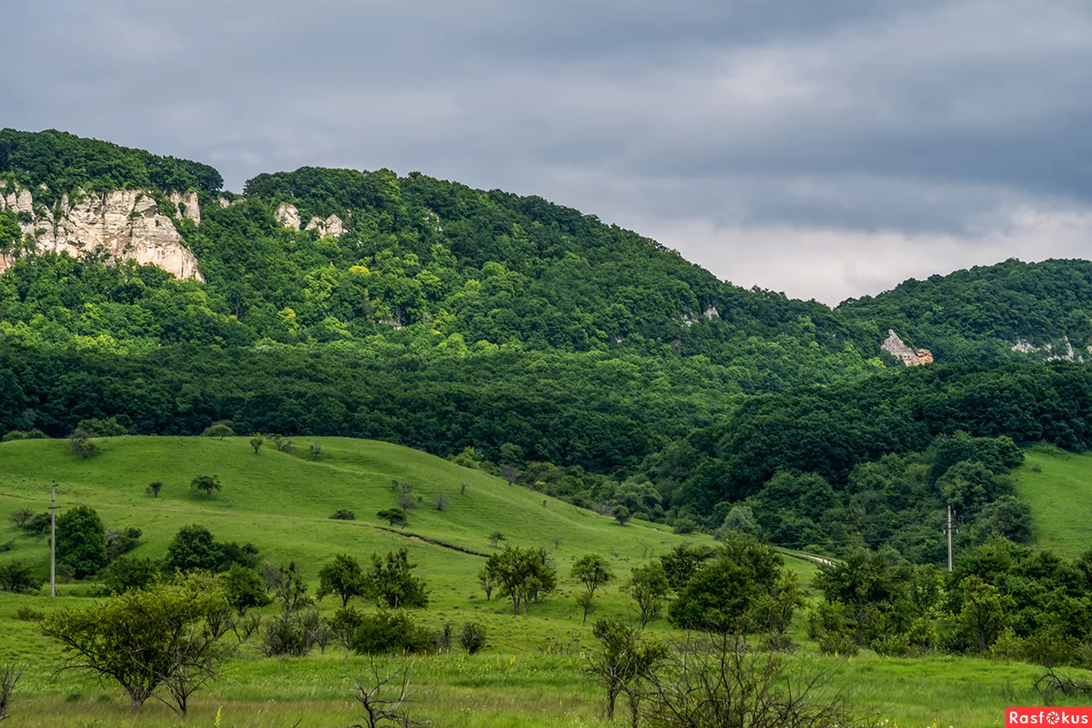 фото из интернета Лето, горы, родная станица.