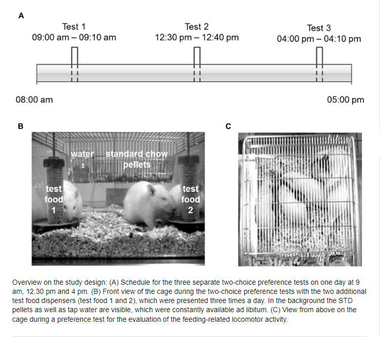 фото из первоисточника