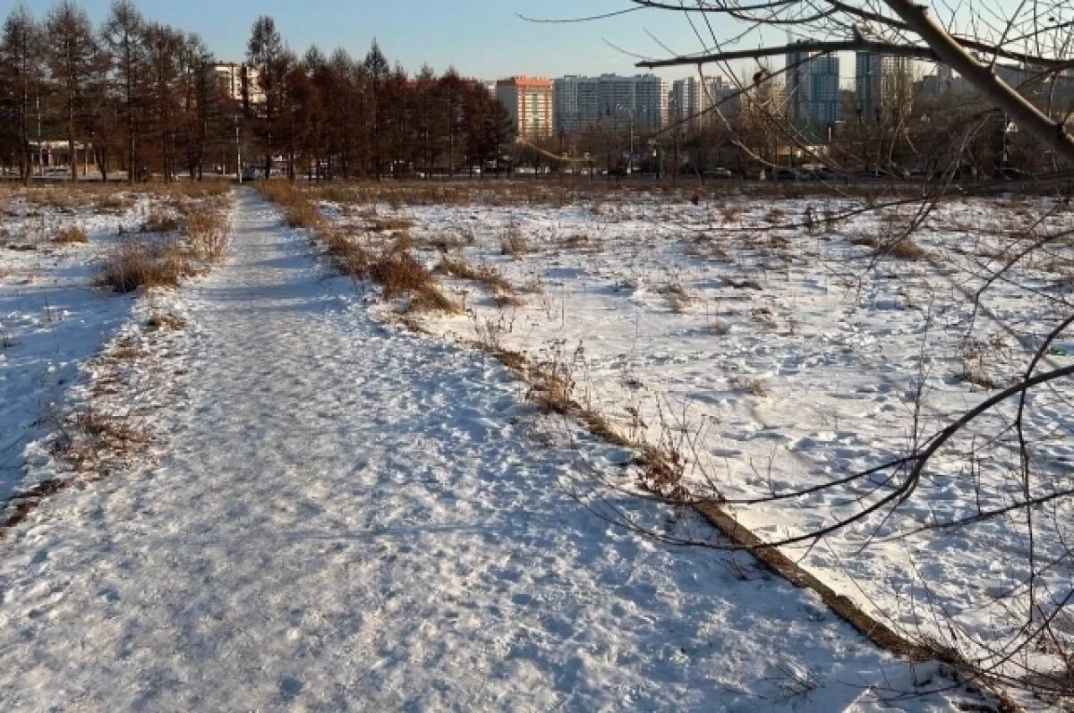    На месте школы сейчас расположен пустырь.