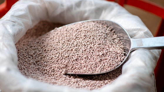    Польша импортировала удобрения из России на рекордную сумму Татьяна Сидорова