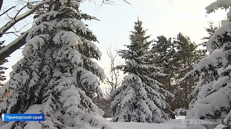    Источник фото: