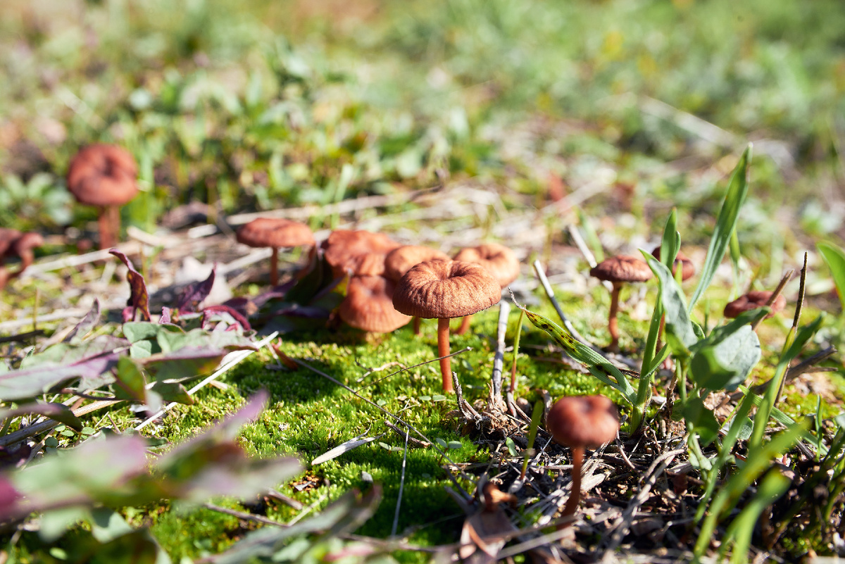фото: Константин Кордонский