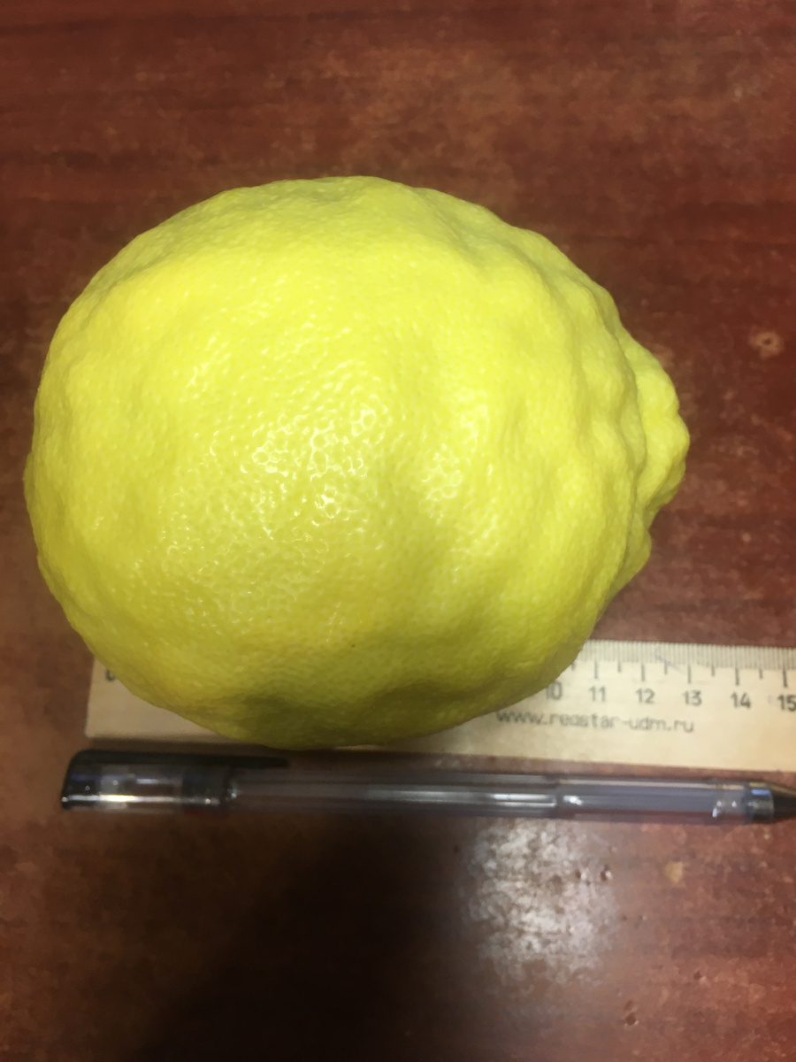 целлюлитный лимон)))