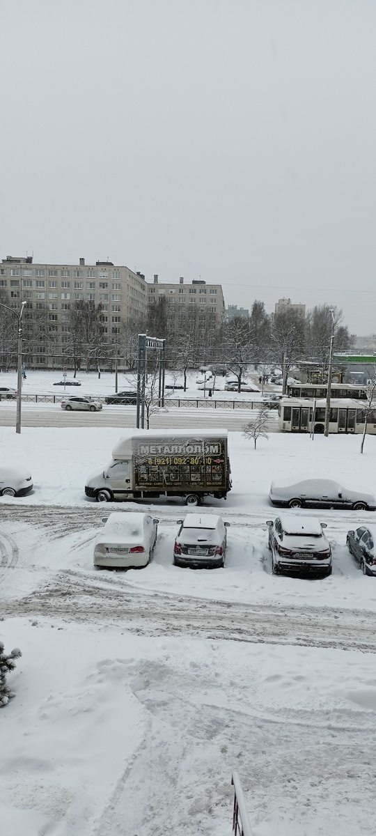 Фото автора.