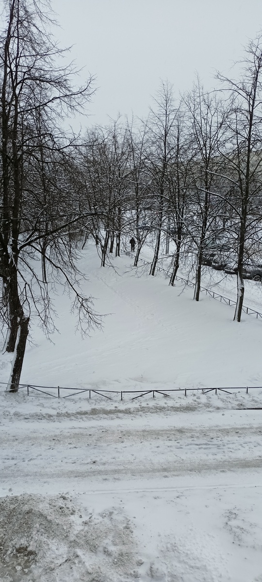 Фото автора.