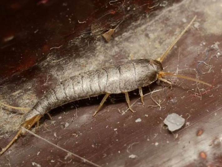 Теперь мой дом-моя крепость!