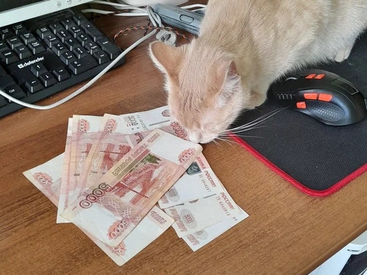     Фото: МК в Мурманске.