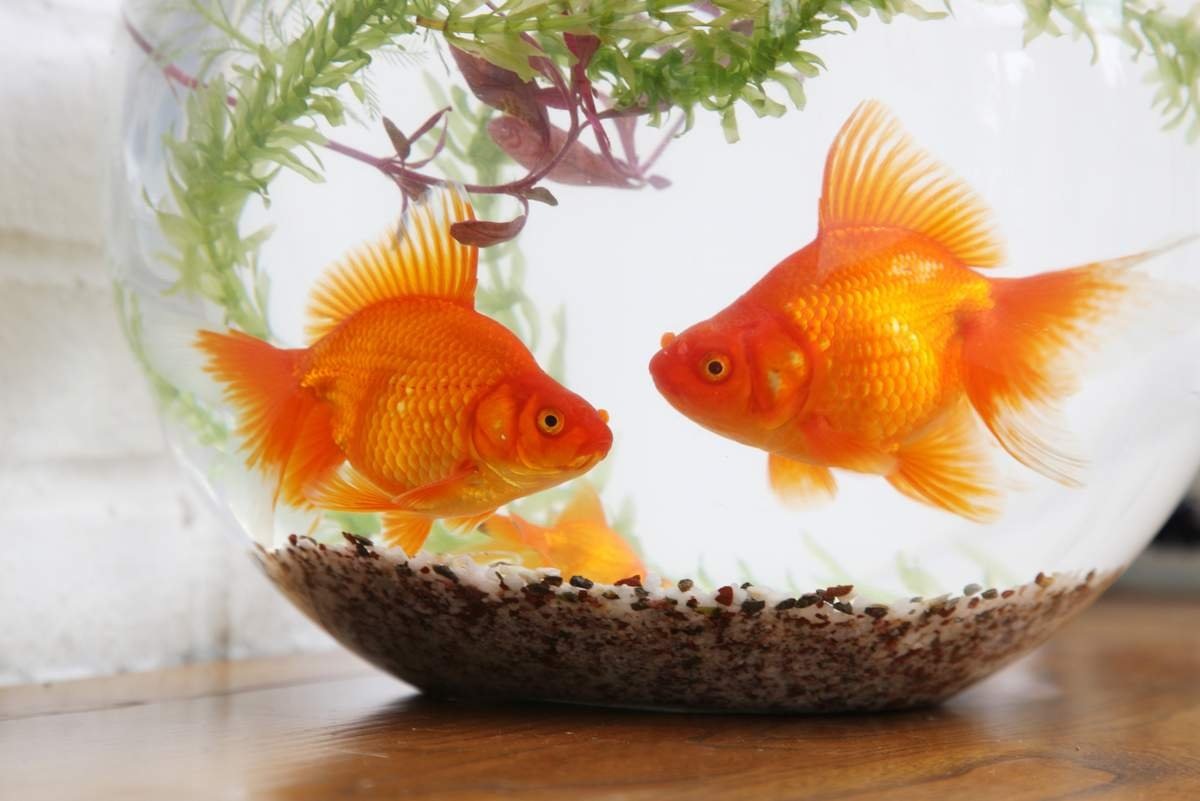 Позитивное мышление.