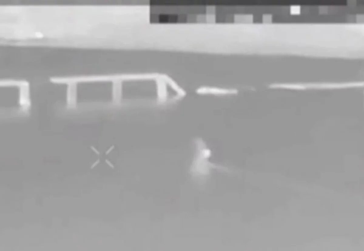    Российский FPV-дрон подбил десантную лодку ВСУ под Херсоном