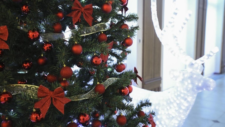    Автор фото: Верещагина Лидия