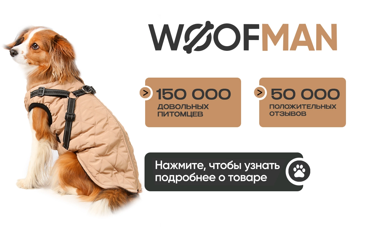 Артикул: 258486848