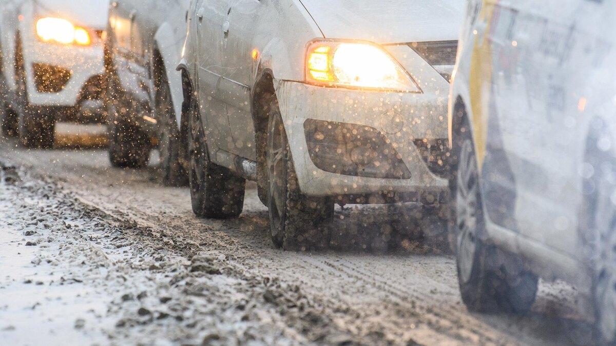    Фото: Ilya Moskovets/globallookpress.com