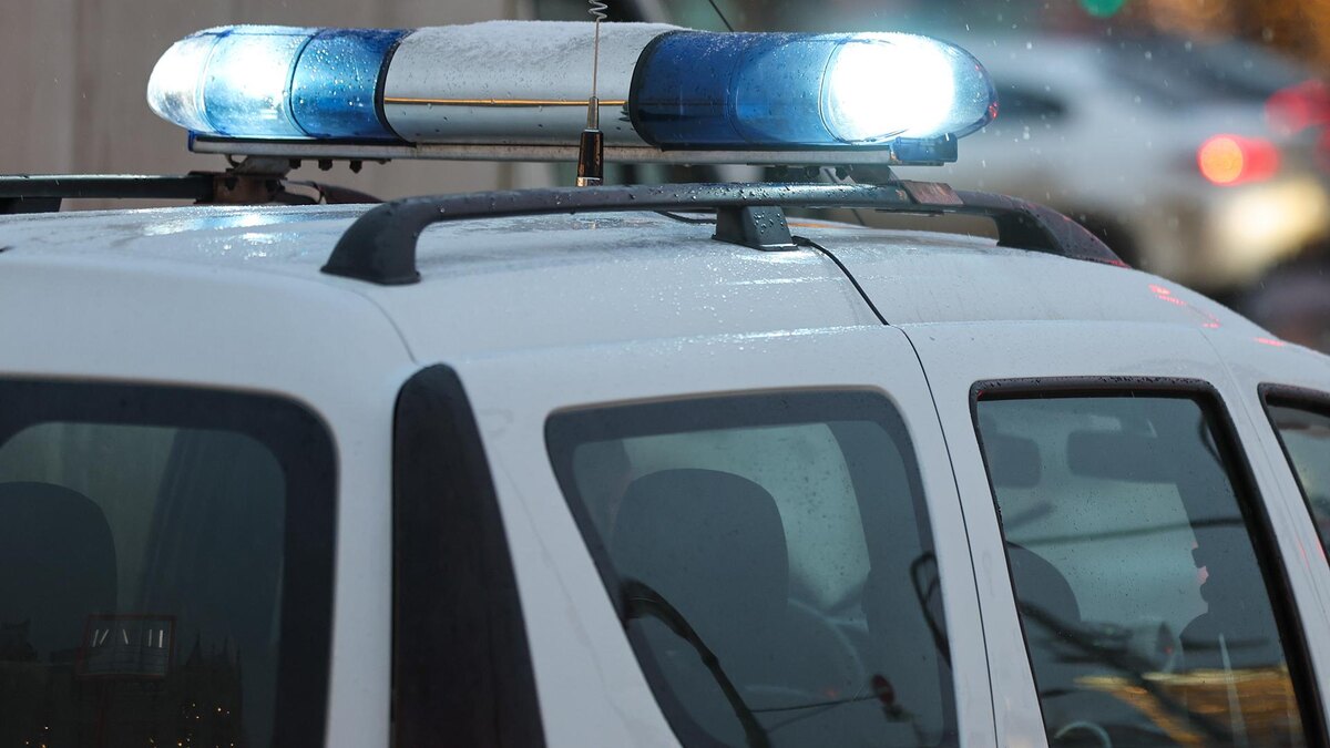    Фото: Belkin Alexey/globallookpress.com