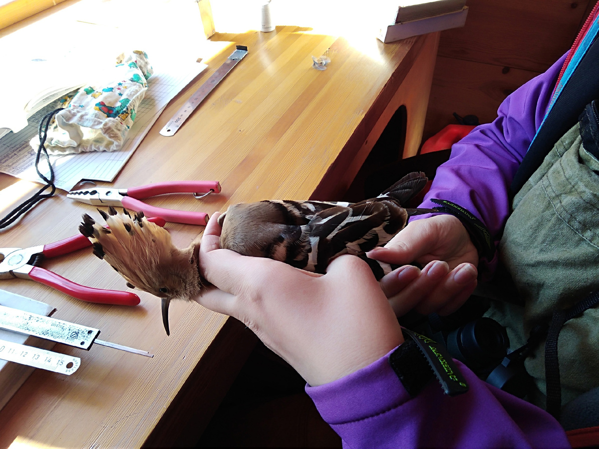 Фото из группы станции