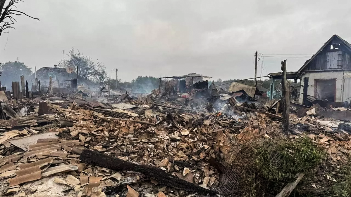 Фото из Телеграмм.