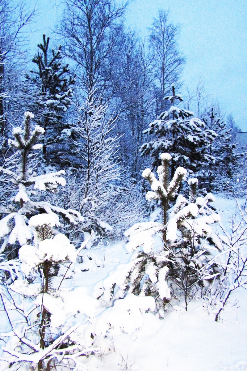 Фото из личного архива