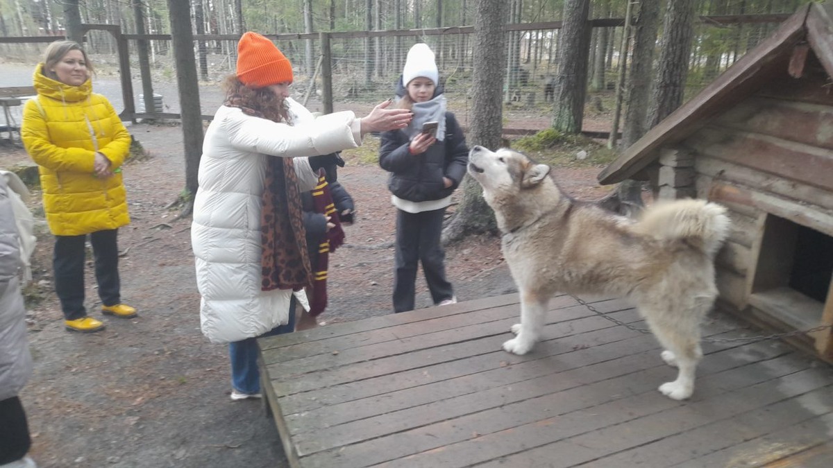    Вотчина Талви Укко. Фото: "Республика"/Максим Смирнов