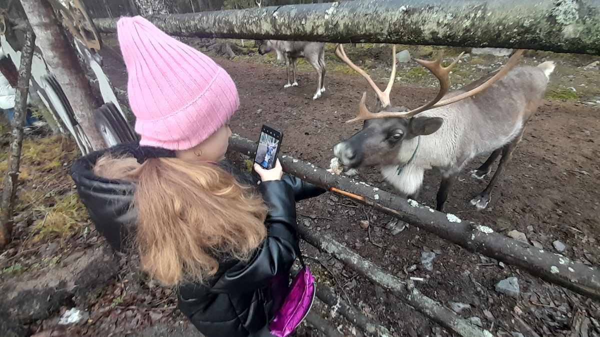   Вотчина Талвиукко. Фото: «Республика»/Максим Смирнов