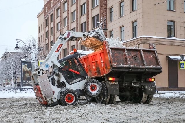    Фото: Пресс-служба Смольного