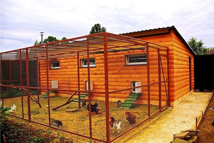 Раздельное содержание. 3 породы- 3 выгула. фото из интернета