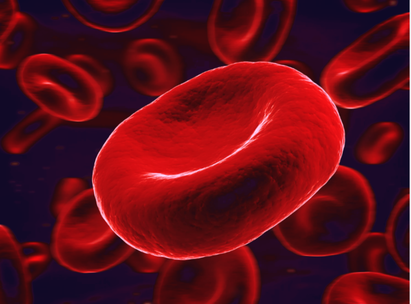Изображение эритроцита для оформления статьи