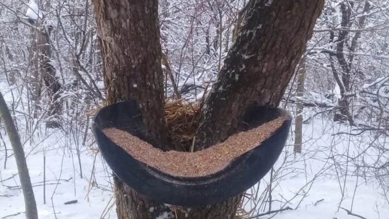      Фото: минприроды Ставрополья