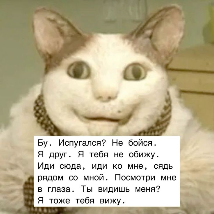 Включи бу испугался не бойся