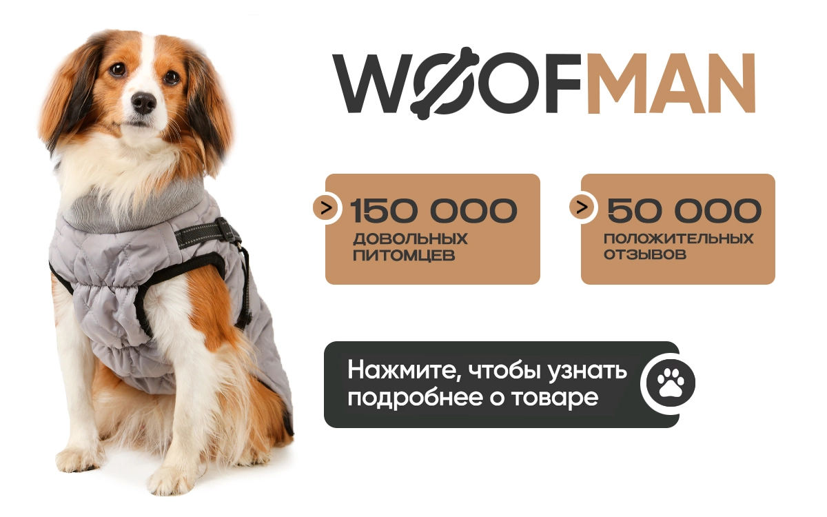 Артикул: 258486846