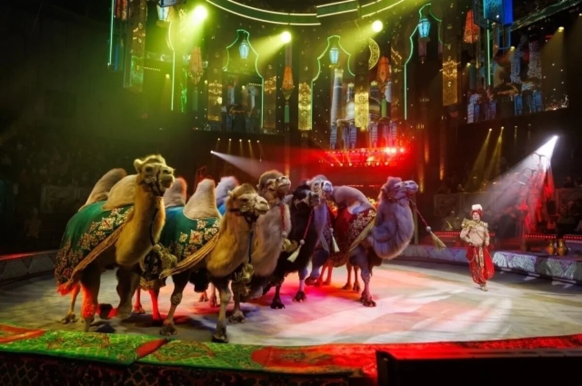    Блеск Востока под куполом цирка.