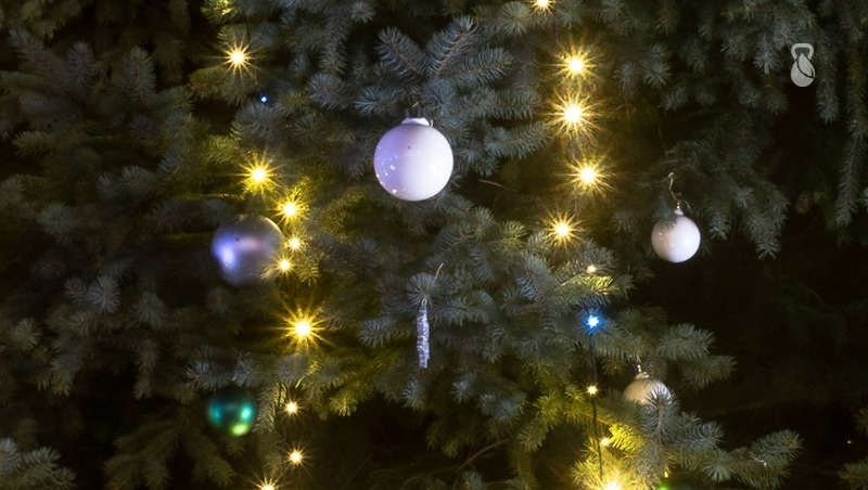      Фото: ИА «Победа26»