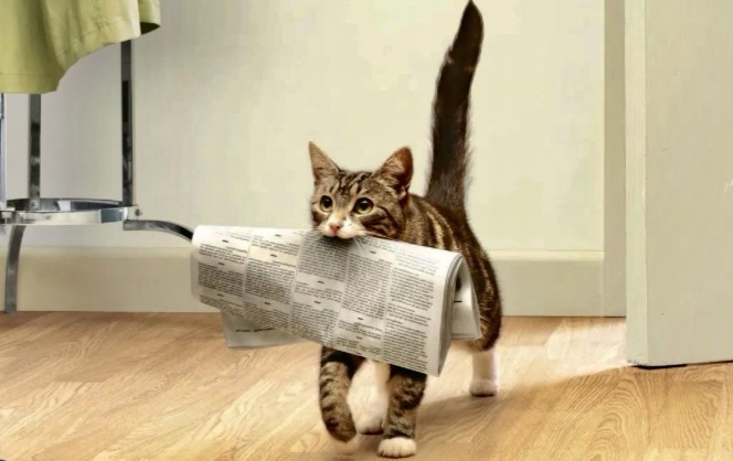 Наташа, я принес тебе свежую газету! Только сейчас принес почтальон ->->->