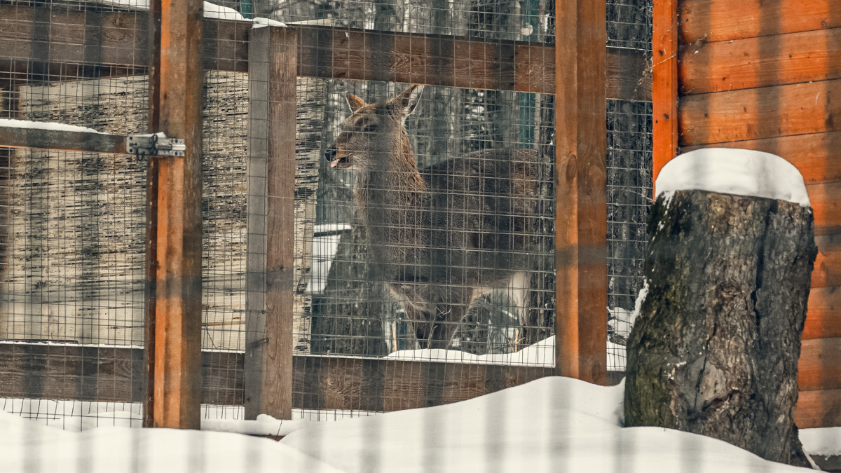 Светлана Мулыкина📷
