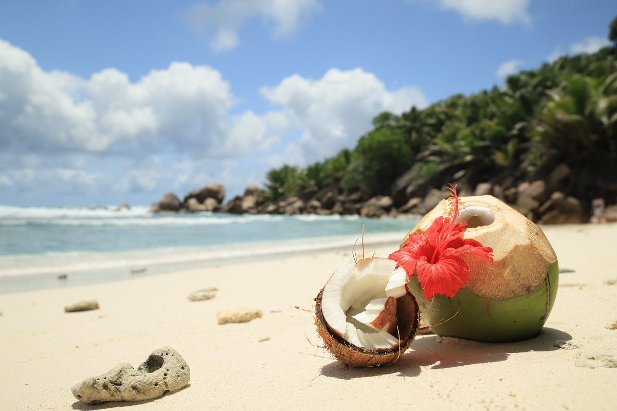 Фото Adobe Stock