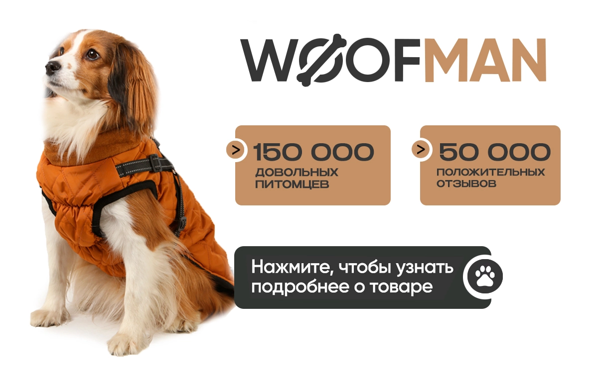 Артикул: 258486847