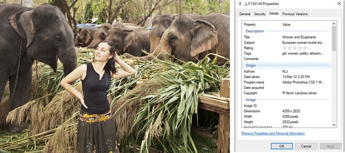 © Кевин Ландвер-Йохан