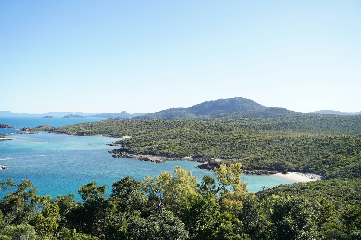 Фото с бесплатного фотостока https://unsplash.com, автор Hailey Tong