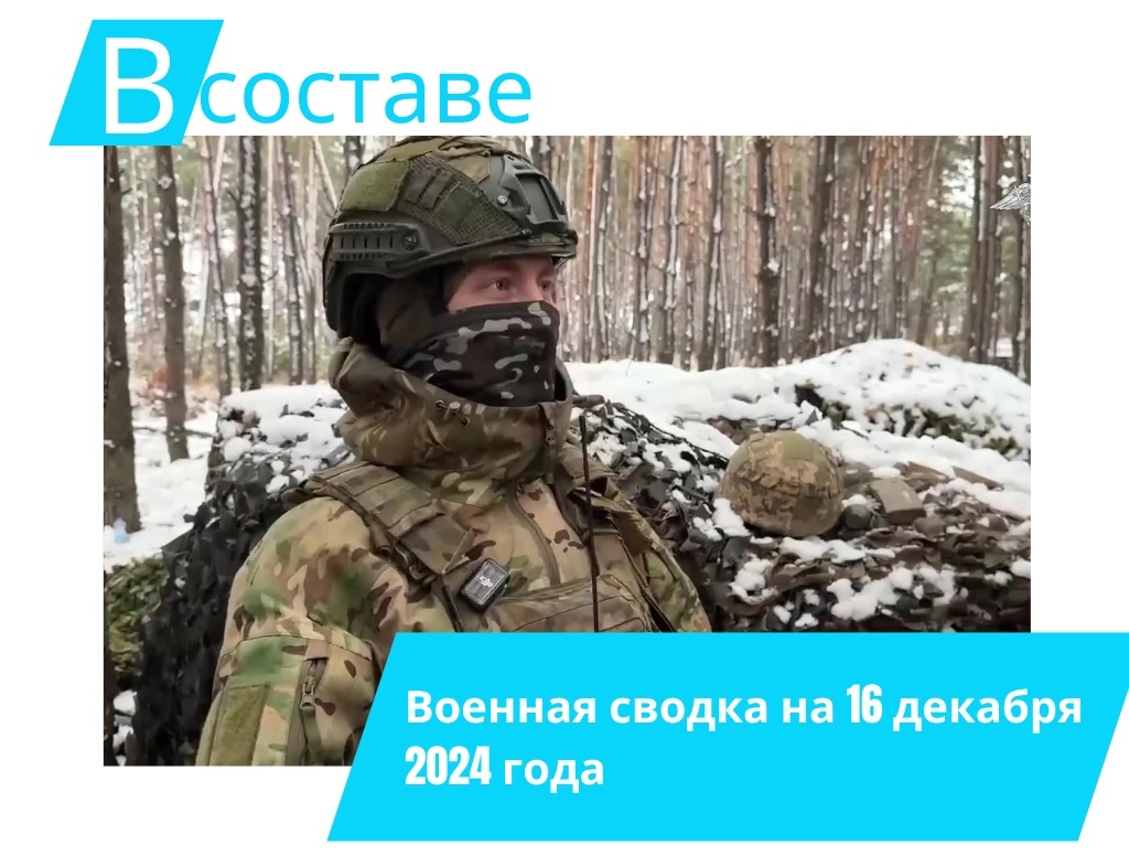 Фото: svo.pressa24.ru