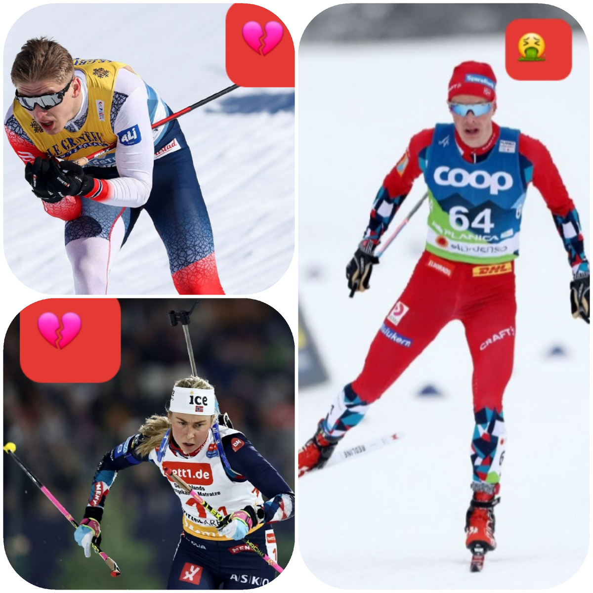 Валнес, Амундсен и Тандреволд 🙉