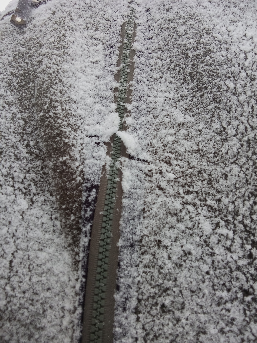 Результаты прогулки