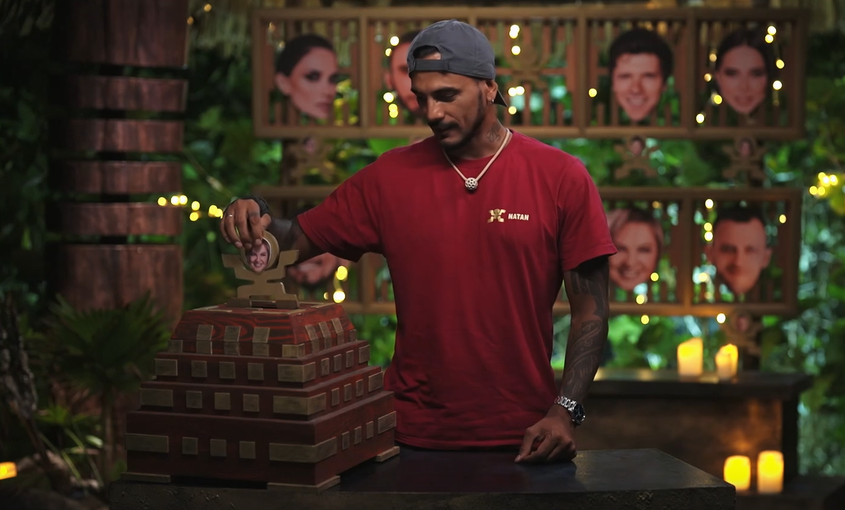 Голосование. Как распределились голоса в 13 серии "Звёзды в джунглях"?