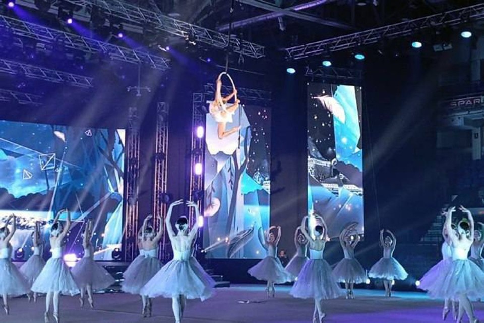    Гимнастическое шоу «Лебединое озеро» показали в Нижнем Новгороде 14 и 15 декабря. Анастасия СТЕПАНЕНКО