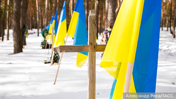     Фото: Александр Река/ТАСС   
 Текст: Валерия Городецкая