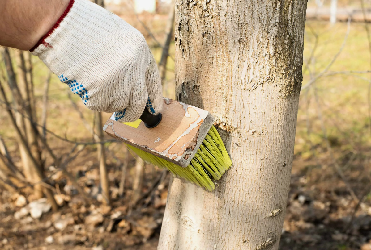 Источник фото: shoes-web.ru