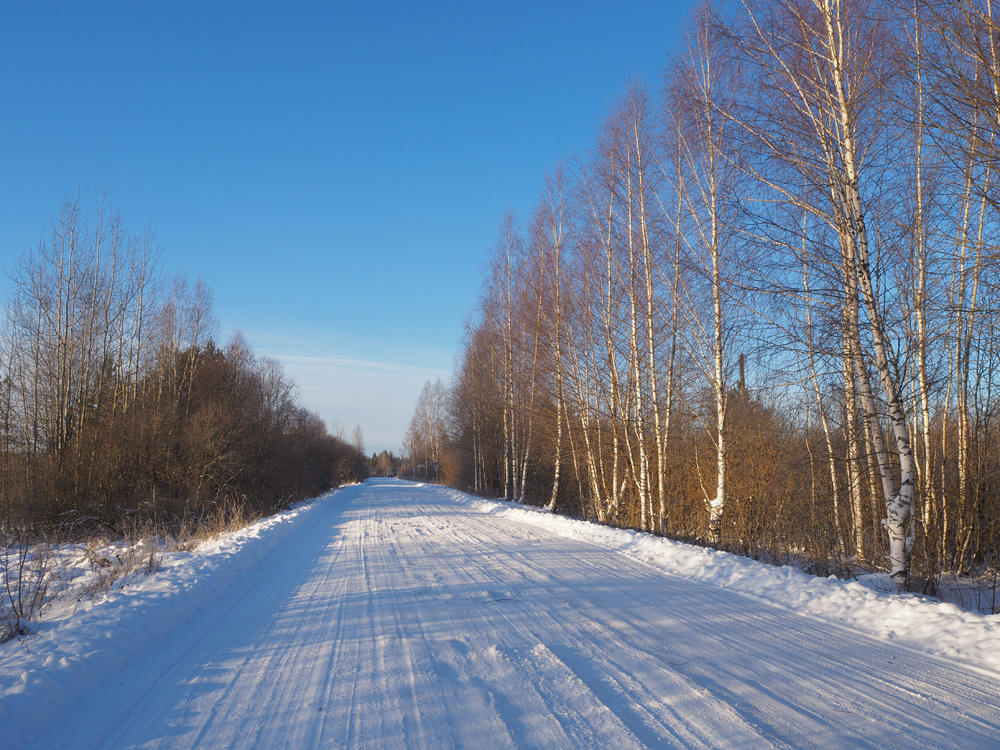 Дорога в Сёлышки.